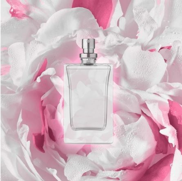 FondantParfumé Dupe de Luxe Miss D